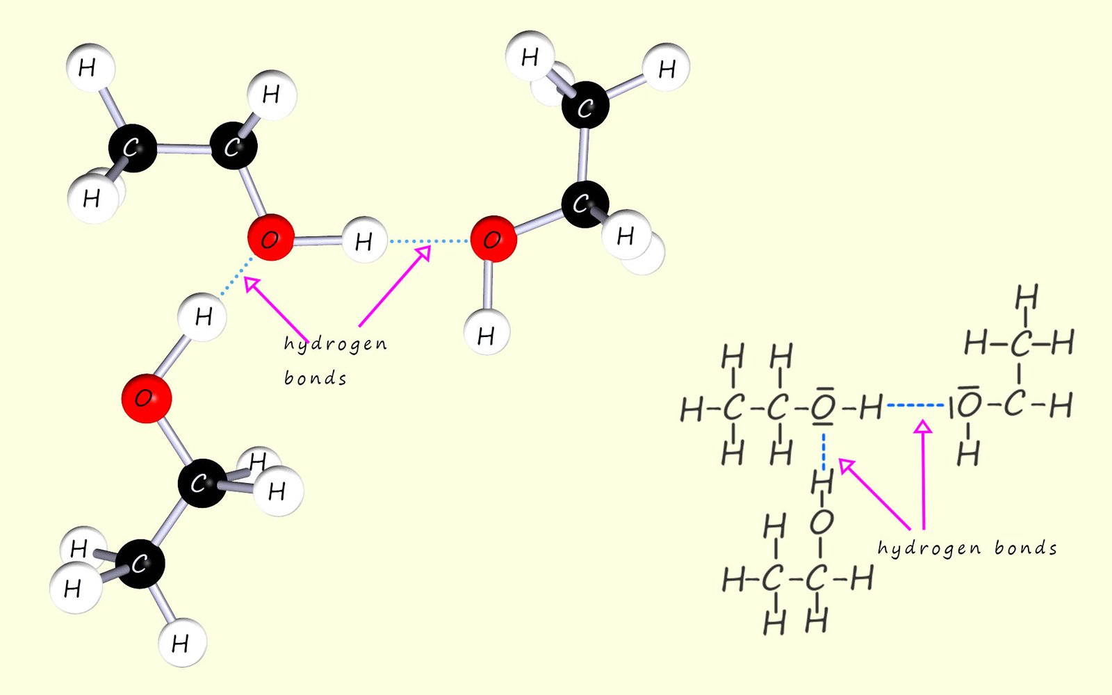 Hydrogen bonding between ethanol molecules